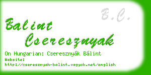 balint cseresznyak business card