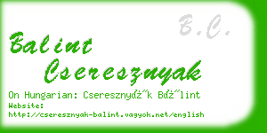 balint cseresznyak business card